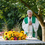 Beitragsbild Steinerburg-Tag