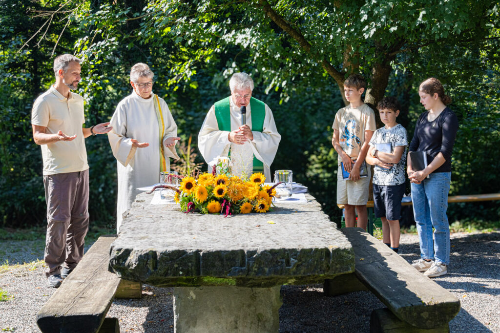 Beitragsbild Steinerburg-Tag