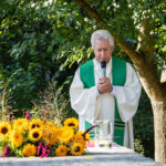 Beitragsbild Steinerburg-Tag