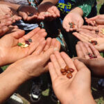 ökumenischer Suppentag 2026